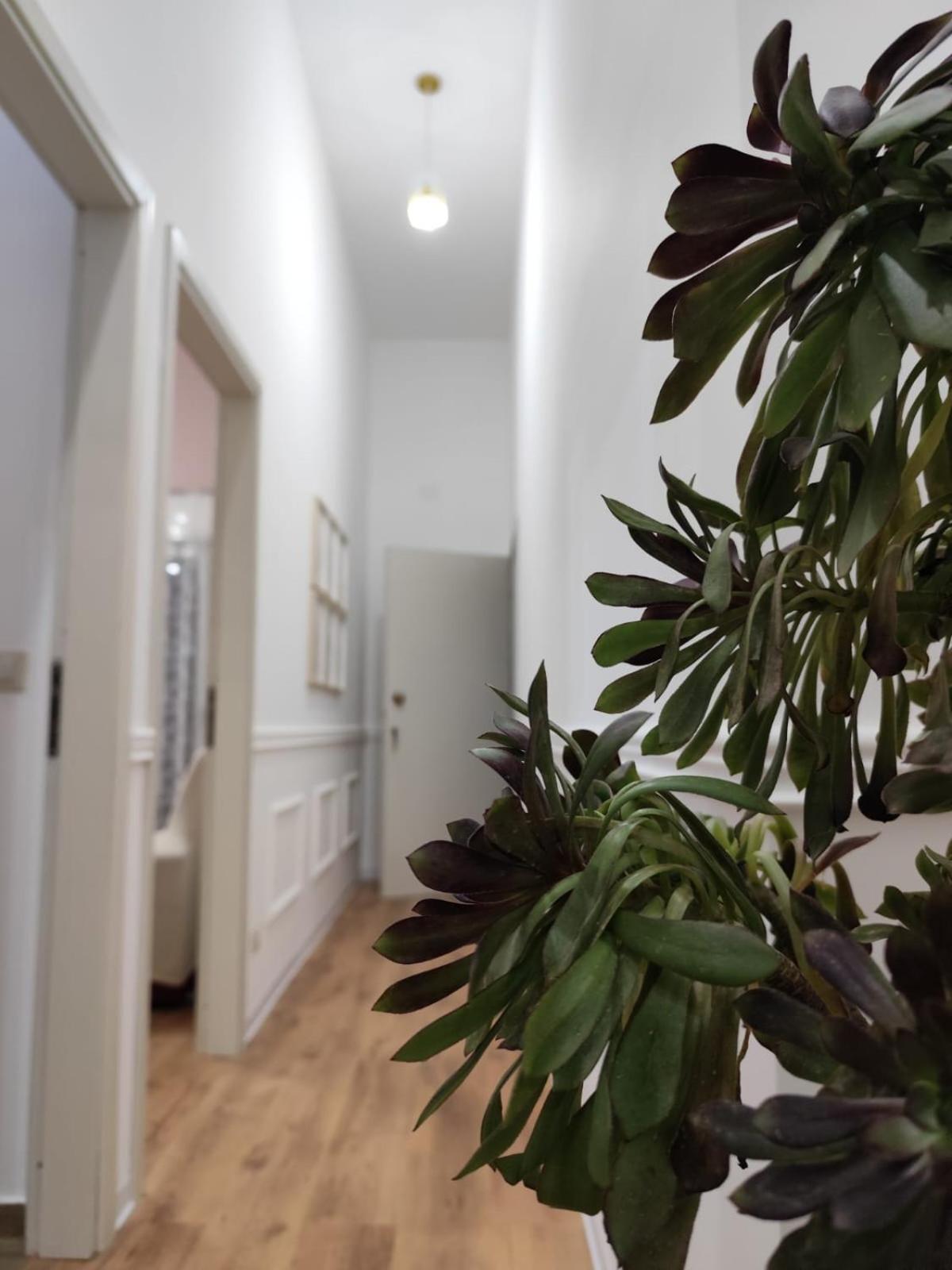 Casa Belvedere Agrigento Kültér fotó